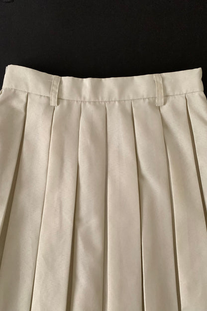 gray ivory  pleats long skirt